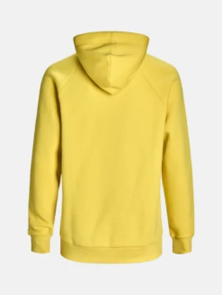 PEAK PERFORMANCE SEASONAL PATCH HOOD MEN Citrine -Ski Uitrusting Verkoop schermafbeelding 2021 10 09 om 16.11.09