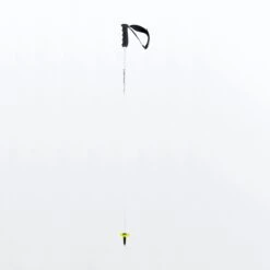 HEAD WORLDCUP REBELS CARBON Skistokken